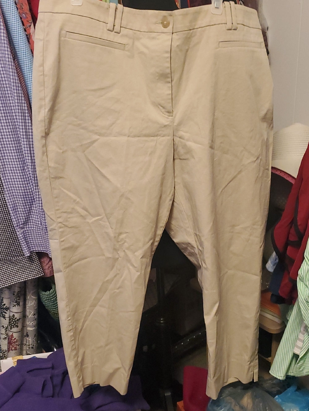 Ann Taylor Beige/Tan Dress Pants